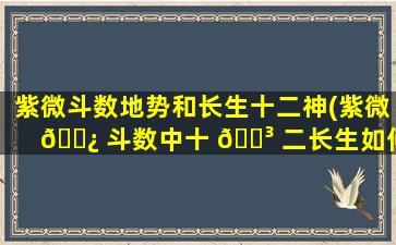 紫微斗数地势和长生十二神(紫微 🌿 斗数中十 🐳 二长生如何排盘)